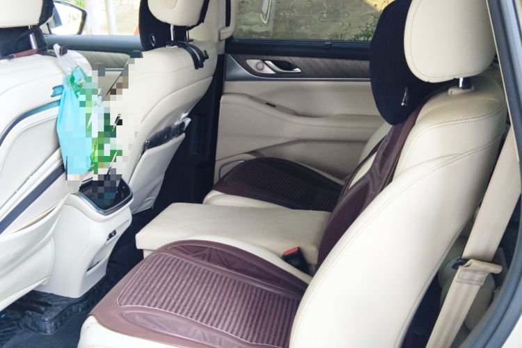 Used Wey Lanshan 2023 Four-Wheel Drive Ultra-Long Range Version