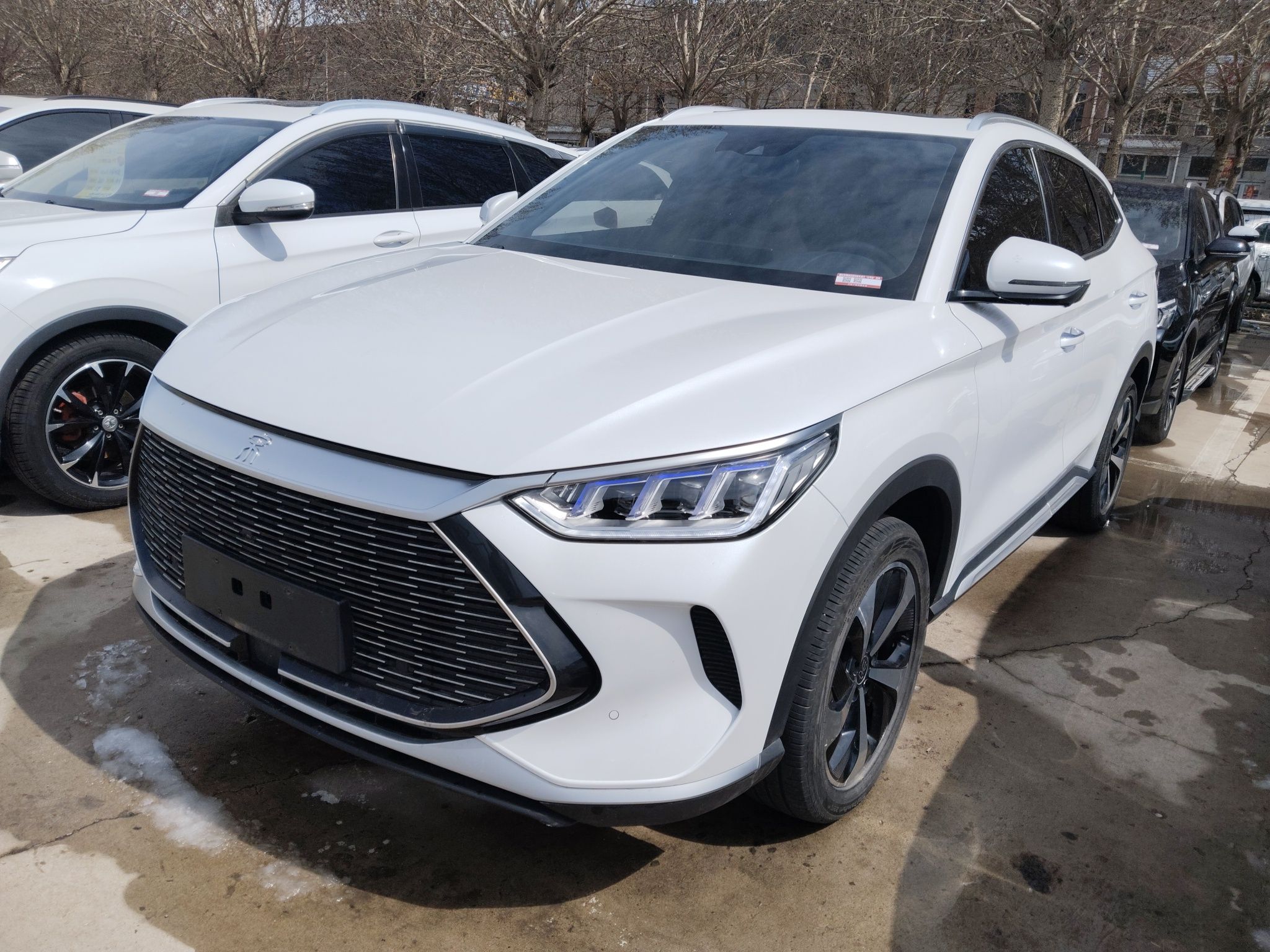 Parte inferior delantera