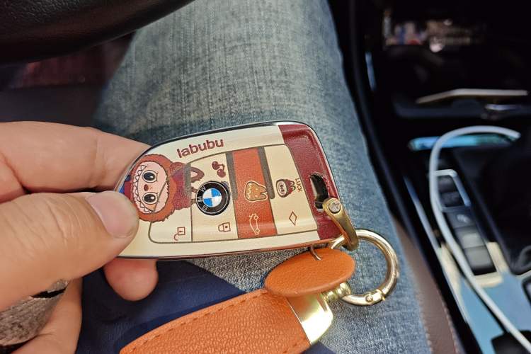 Used BMW X1 New Energy 2018 xDrive25Le Luxury Model Vehicle Key