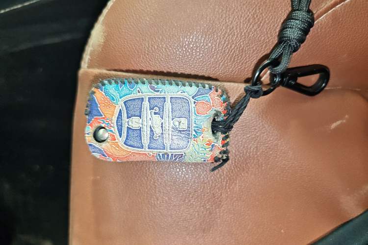 Used Dongfeng Ruichi 6 2021 2.3T Automatic 4x4 Diesel Luxury Long-Box M9T