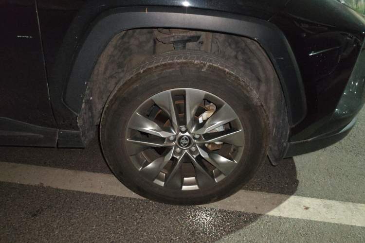 Used Toyota Wildlander 2023 2.0L CVT Two-Wheel Drive Leading Edition
