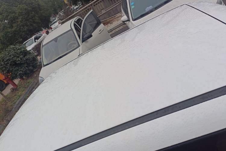 Used Qiyuan Lumin 2025 205 km Xiangqin Version
