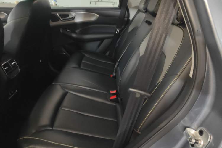 Used Roewe RX5 2020 PLUS 300TGI Automatic Ali National Style Luxury Edition Left Rear Seat