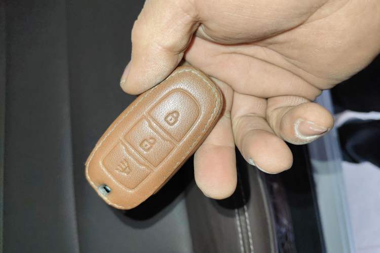 Used Dongfeng Palazzo 2022 2.0T Manual Two-Wheel Drive Luxury Version