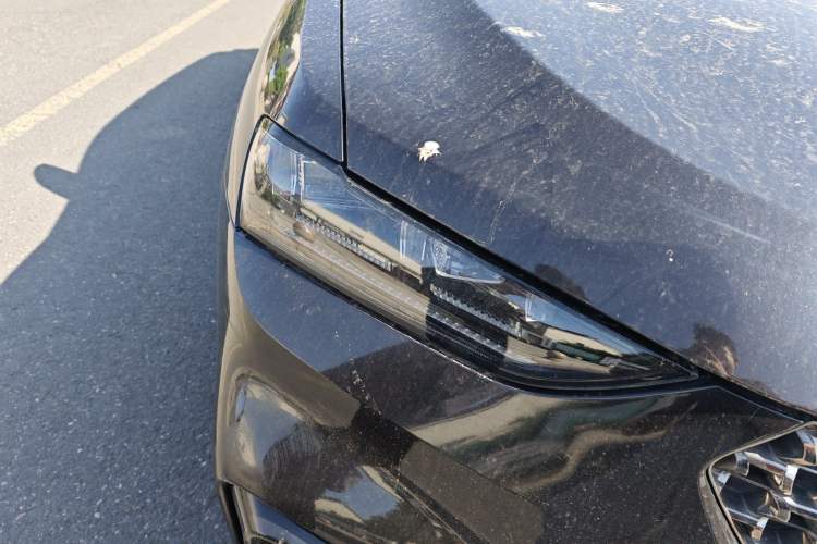 Used Wey VV7 2020 2.0T Flagship Edition
