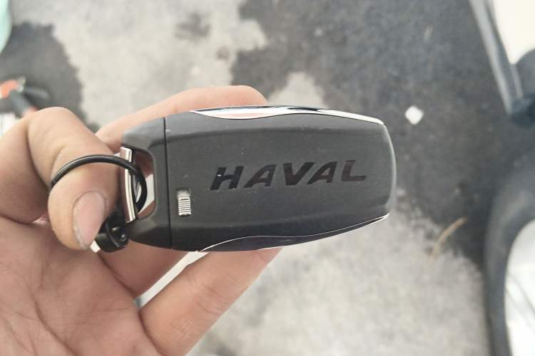 Used Haval H4 2018 Red-Label 1.5 GDIT DCT Fashion Edition
