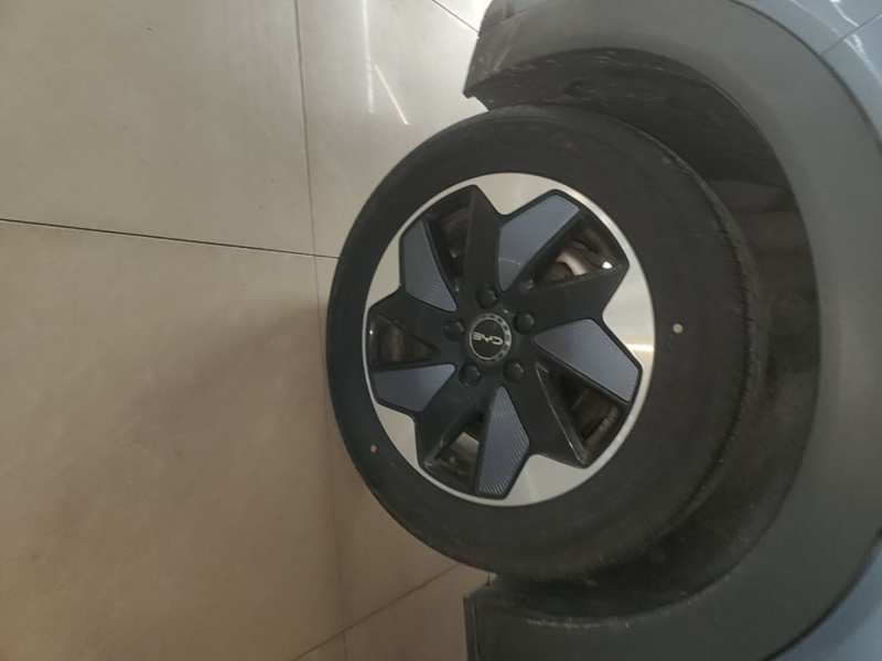 Used BYD Dolphin 2024 Honor Edition 420km Freedom Version — 25