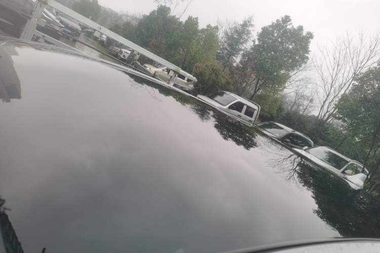 Used BYD Dolphin 2021 405 km Fashion Edition
