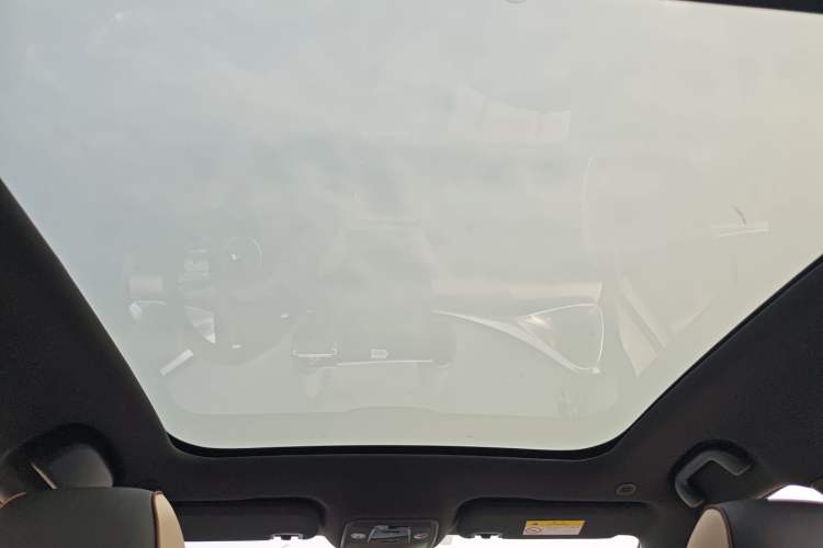 Used BYD Dolphin 2023 420 km Fashion Edition Headliner