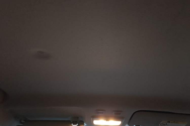 Used ORA Black Cat 2021 351 km Standard Version