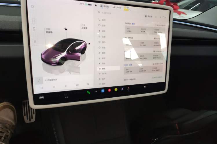 Used Tesla Model 3 2023 Rear-Wheel-Drive Version
