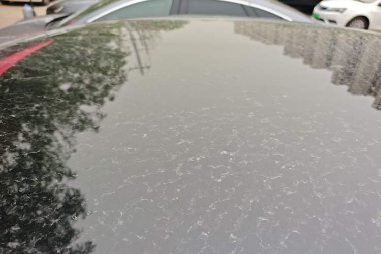 Used Hongqi E-QM5 2022 431 km Charge & Enjoy Edition