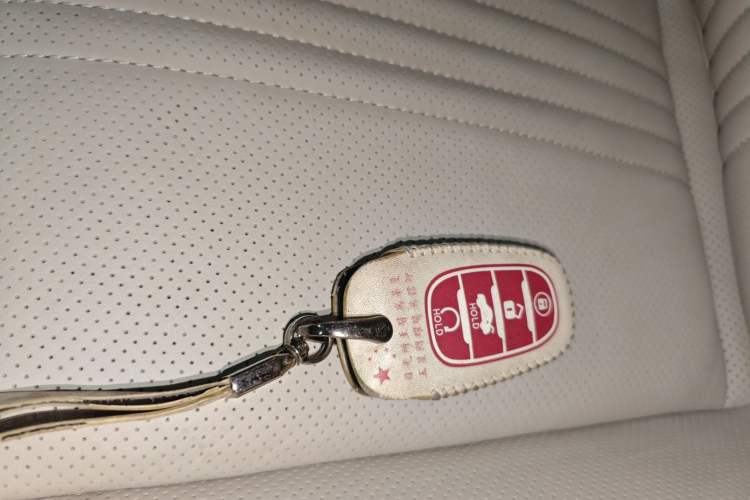 Used Hongqi H9 2022 2.0T Smart Connect Flagship Edition Vehicle Key