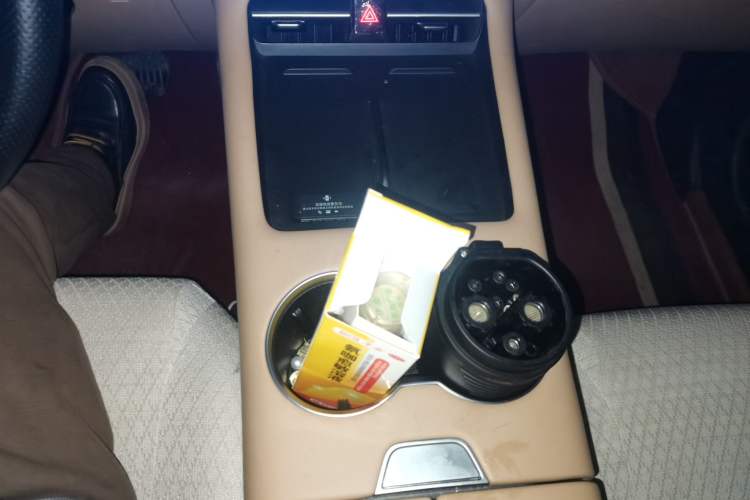 Used Landian E5 PLUS 2025 165 km Long-Range First Edition 7-Seater
