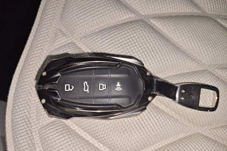 Used Cyberspace Tank 300 2021 2.0T Cyber Tank