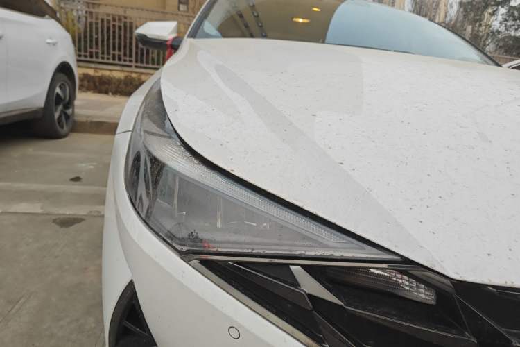 Used Hyundai Elantra 2021 1.5L CVT LUX Prestige Edition