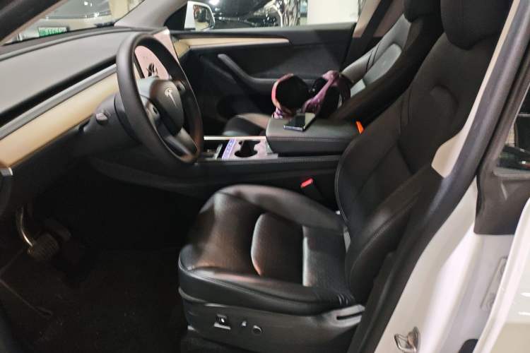 Used Tesla Model Y 2022 Revised Version Long-Range All-Wheel Drive
