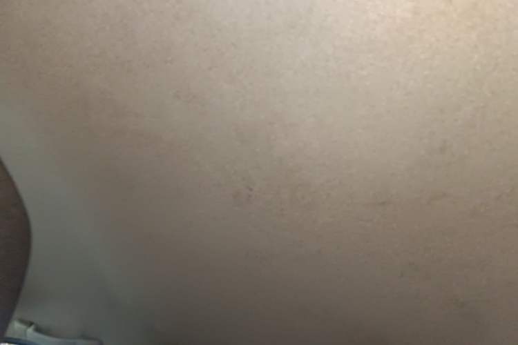 Used Peugeot 301 2016 1.6L Manual Comfort Edition Headliner