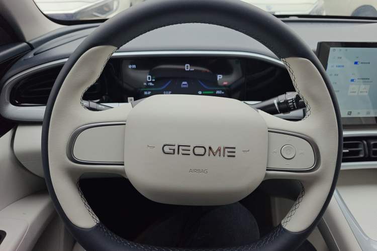 Used Geely Galaxy Geome 2025 310km Youth Edition
