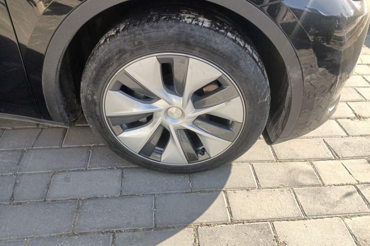 Used Tesla Model Y 2022 Rear-Wheel-Drive Version