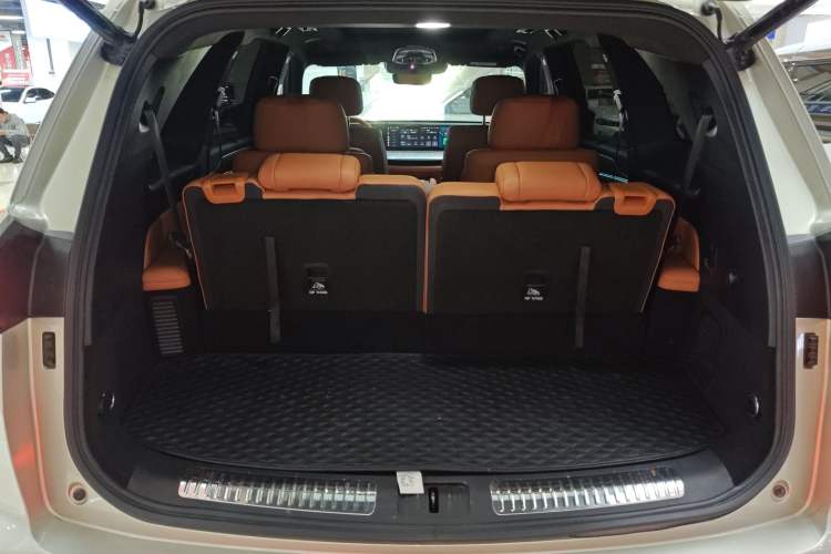 Used Wey Lanshan 2023 Four-Wheel Drive Ultra-Long Range Version