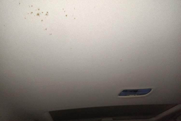 Used Haval H6 2017 Red-Label Sport Edition 1.5T Manual Two-Wheel Drive Elite Model
