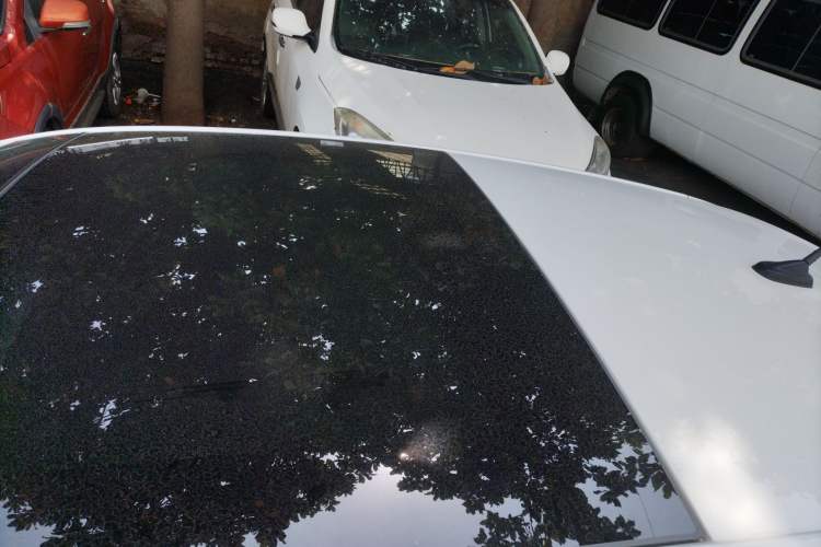 Used Volkswagen Polo 2021 Plus 1.5L Automatic Colorful Tech Edition Roof