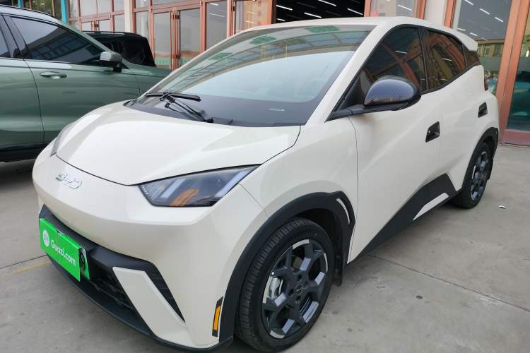 Used BYD Seagull 2025 305 km Free Version