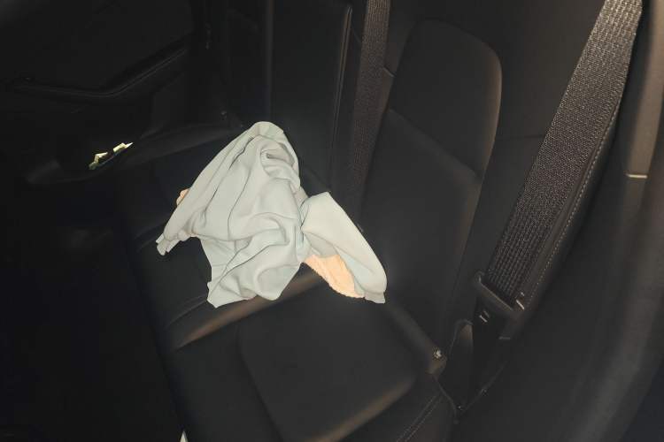 Used Tesla Model Y 2022 Rear-Wheel-Drive Version