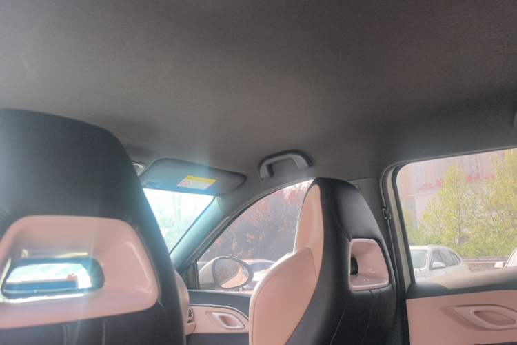 Used BYD Seagull 2023 Free Edition Headliner