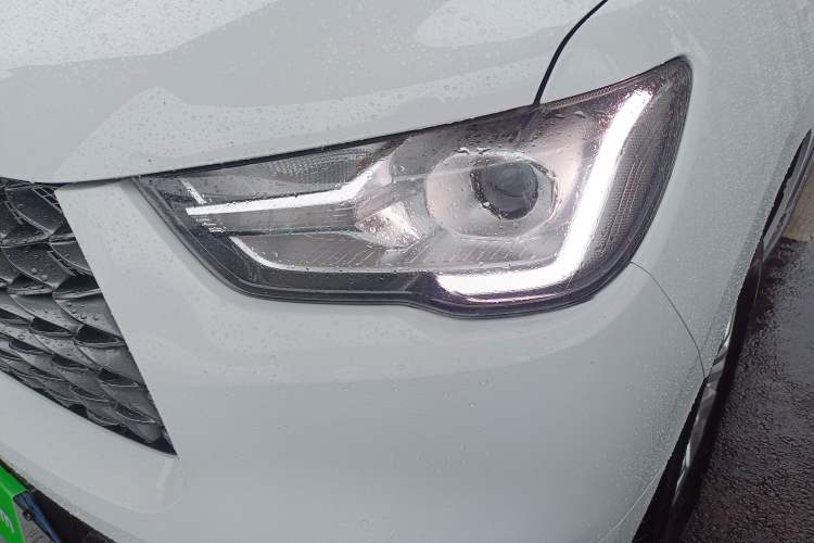 Used Great Wall Poer 2019 2.0T Commercial Version Manual Diesel Two-Wheel Drive Elite Long-Box GW4D20M