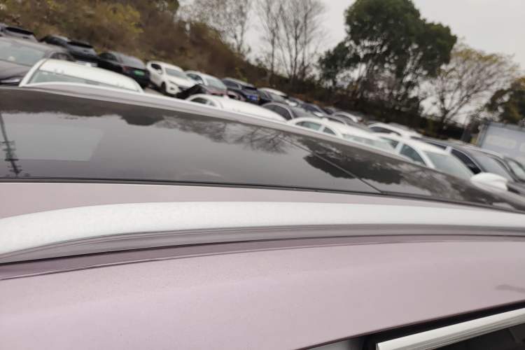 Used Hongqi E-HS9 2021 460 km Range Flagship Edition Six-Seater
