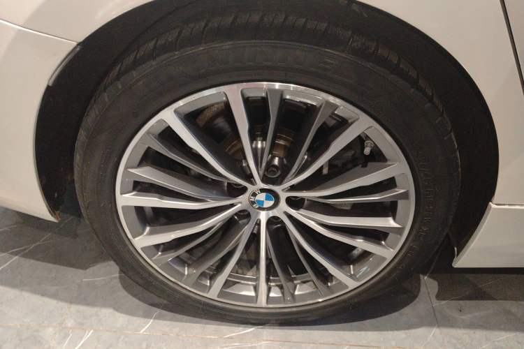 Used BMW 3 Series 2020 325Li First Edition
