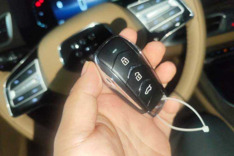 Used Landian E5 2024 Honor Edition 100KM Premium Model 7 Seats
