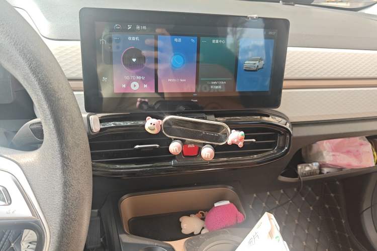 Used SOL E10X 2022 Flower Fairy Design Four-Leaf Clover