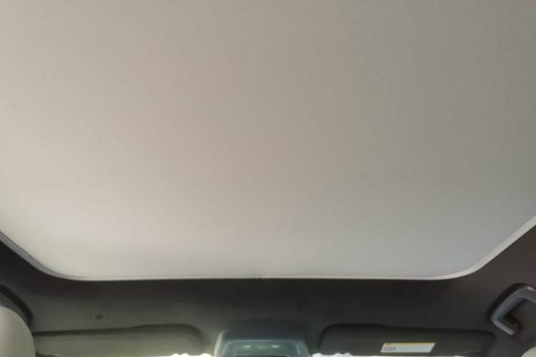 Used Zeekr 001 2024 WE Edition 100 kWh Rear-Drive Headliner