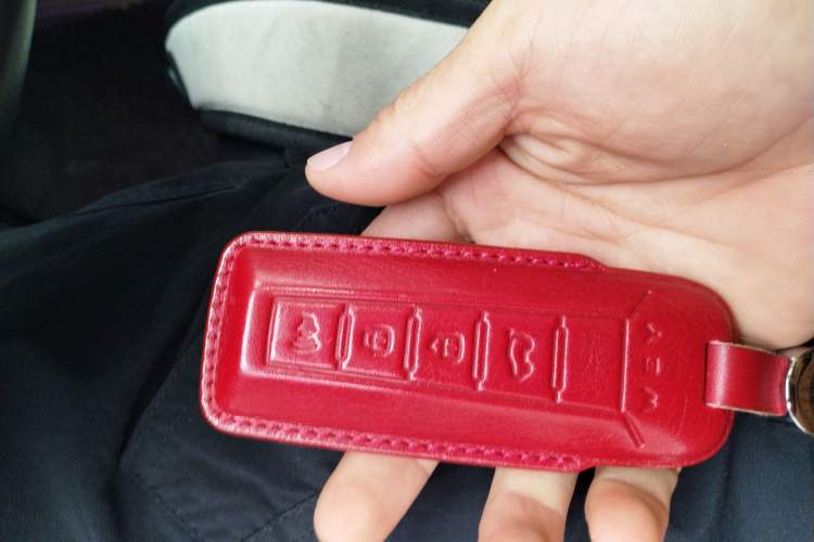 Used Wey VV6 2021 2.0T Two-Wheel Drive Smart Protection+
