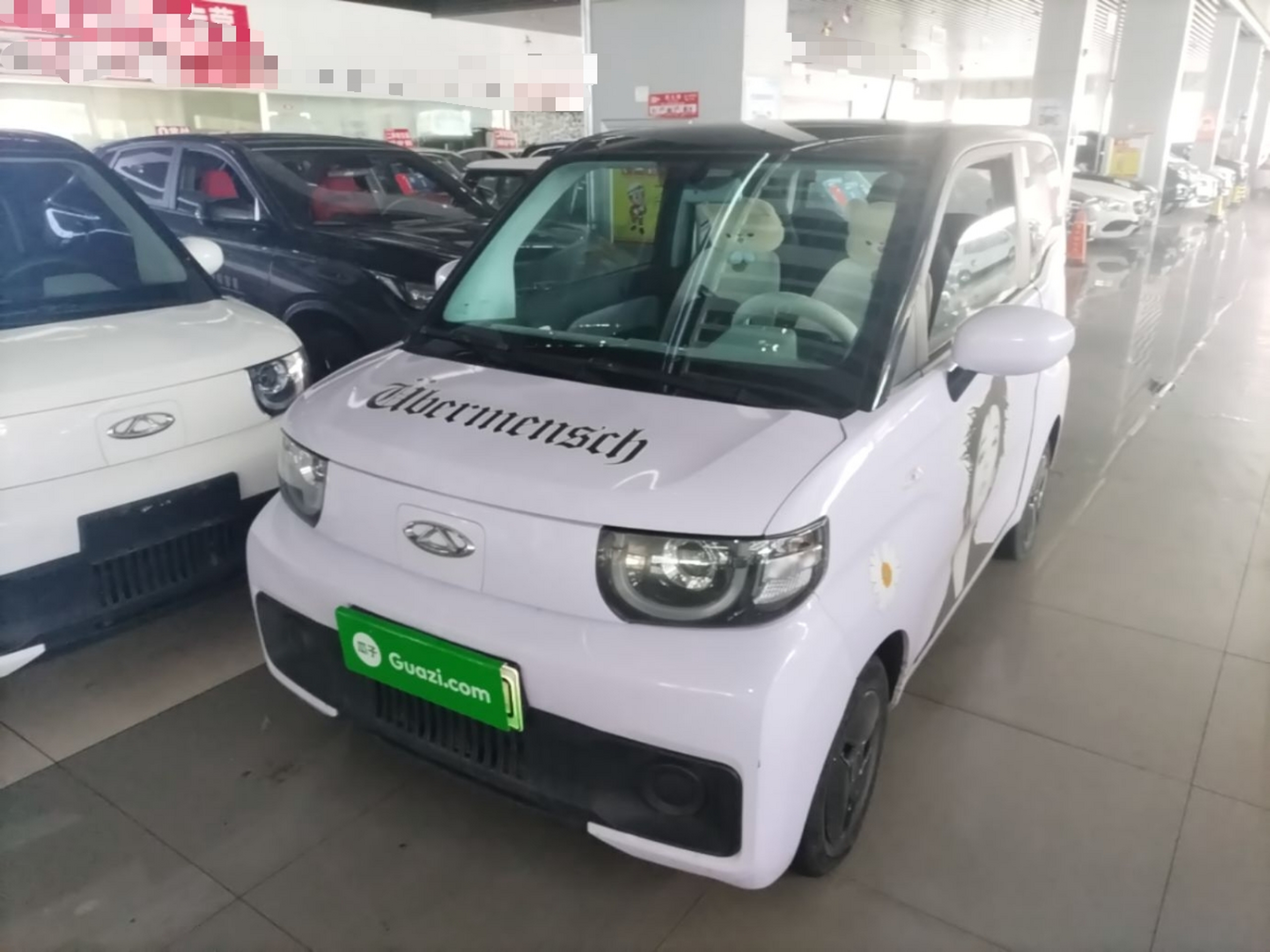 Parte inferior delantera