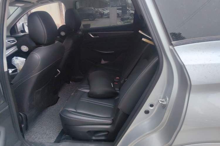 Used Landian E5 2024 Honor Edition 100KM Comfort Model 7 Seats