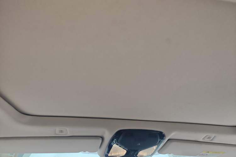 Used BMW 5 Series 2021 525Li Luxury Package Headliner