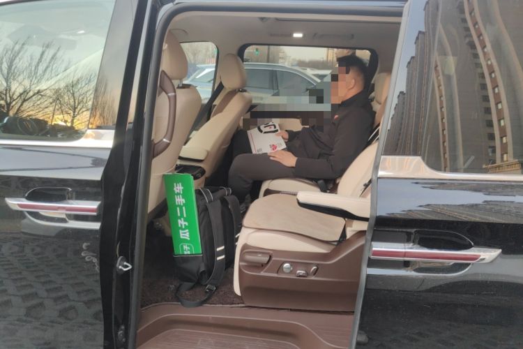 Used Hongqi HQ9 2024 2.0T Business Edition
