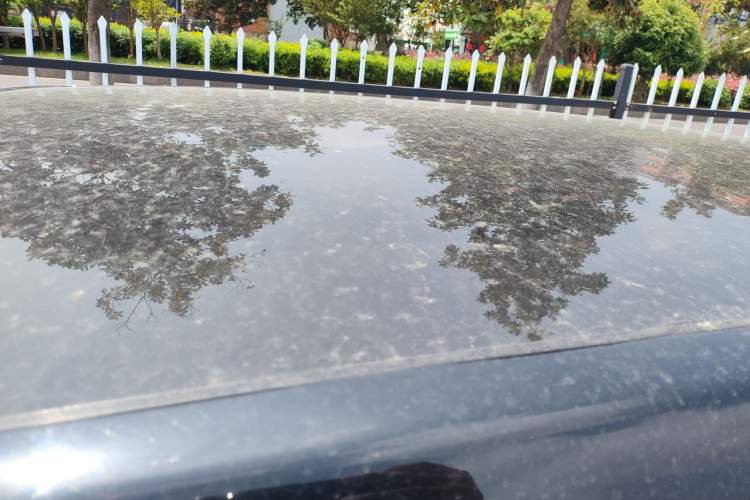 Used Land X7 2015 2.0T Panoramic Luxury Edition Roof