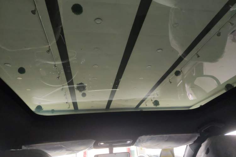 Used Livan 7 2024 605 km Wealth Edition