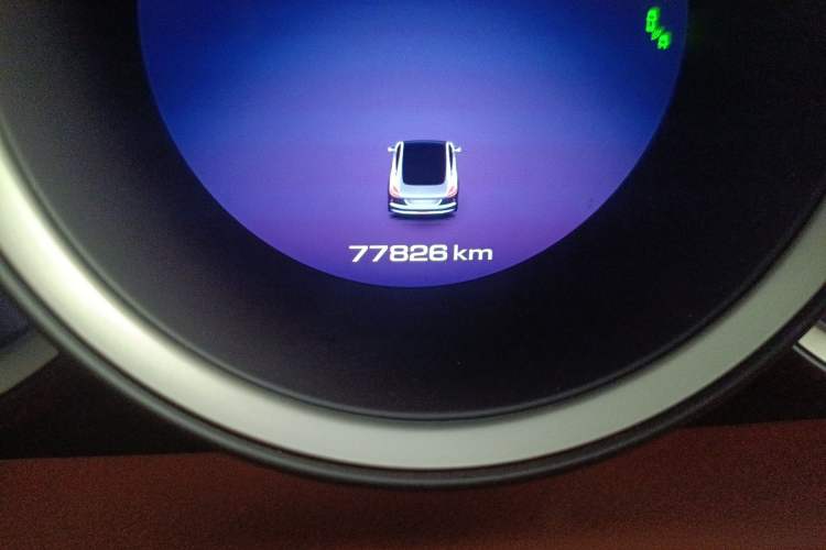 Used ORA Lightning Cat 2022 555 km Luxury Edition
