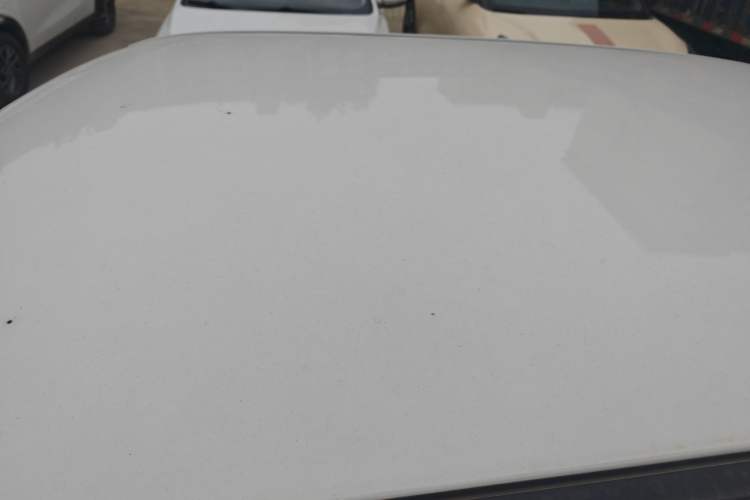 Used CHANGAN NEVO Lumin 2023 205km Xiangqin Version