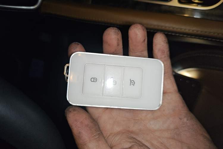 Used BYD Qin New Energy 2017 1.5T Luxury Model
