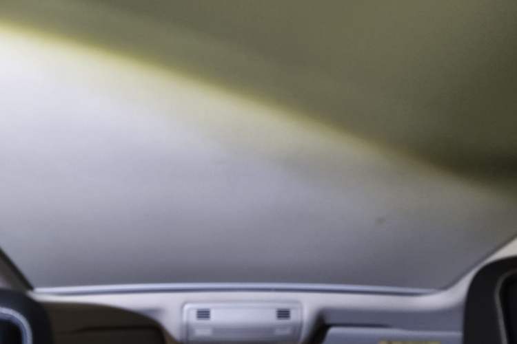 Used Volkswagen Magotan 2020 330TSI DSG Luxury Edition Headliner