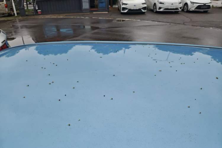 Used NETA N01 2020 430V Roof