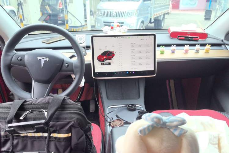 Used Tesla Model Y 2022 Revised Version Long-Range All-Wheel Drive
