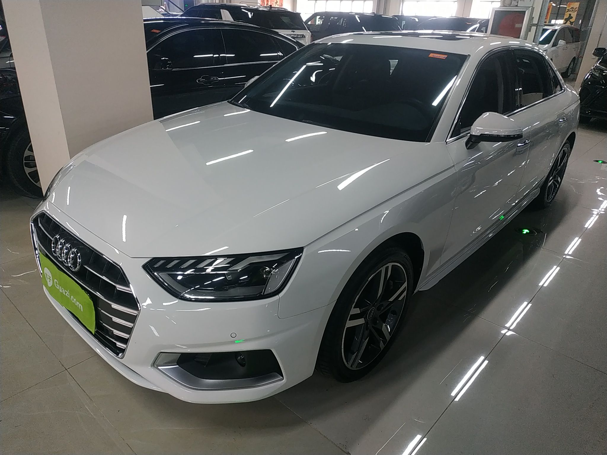 Parte inferior delantera